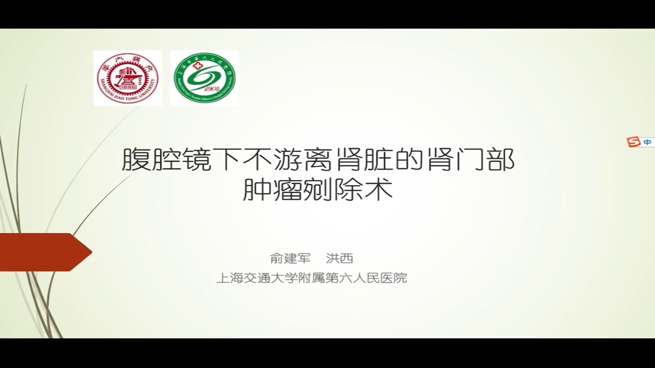 腹腔镜下不游离肾脏的肾门部肿瘤剜除术