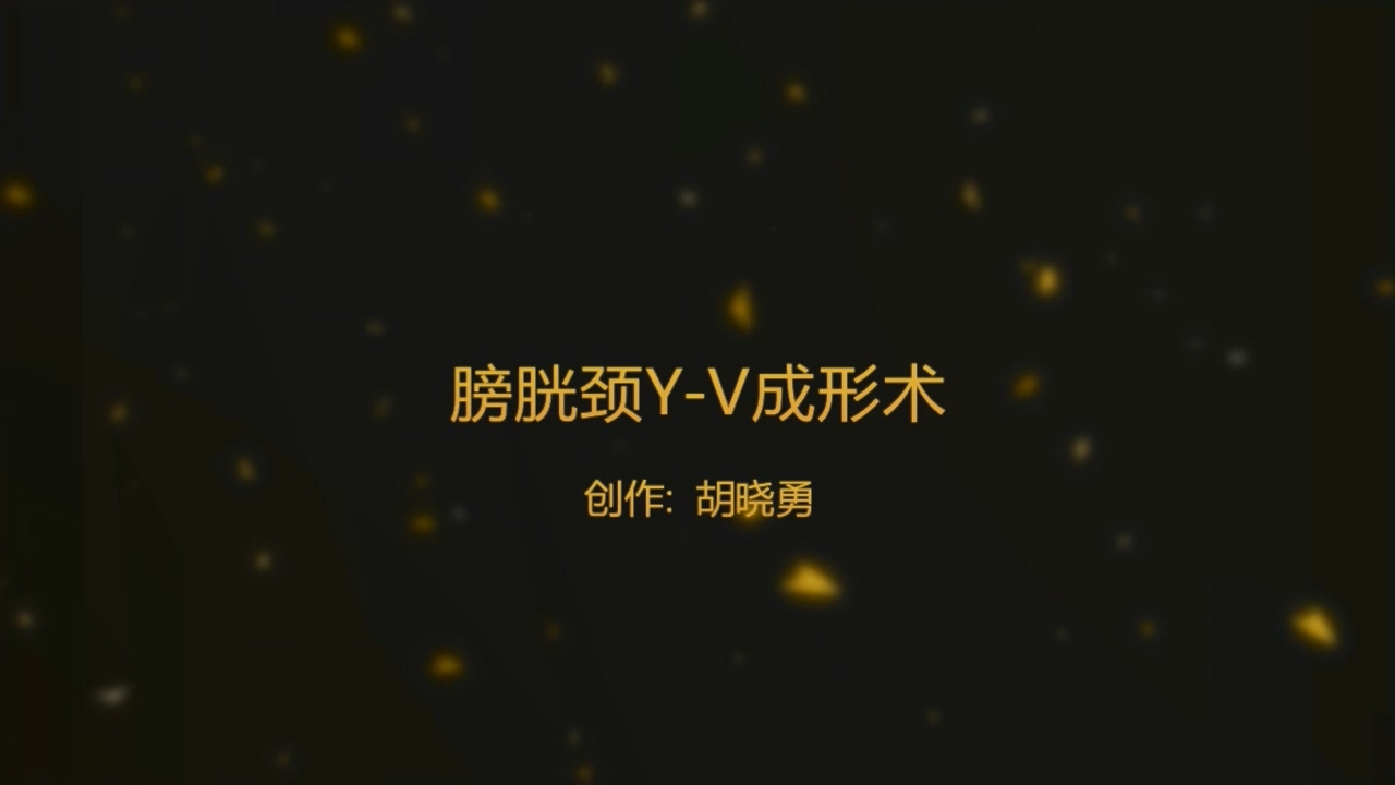 膀胱颈Y-V成形术