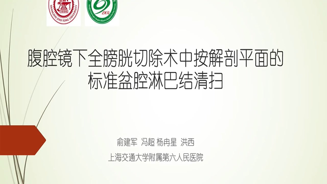 腹腔镜下全膀胱切除术中按解剖平面的标准盆腔淋巴结清扫
