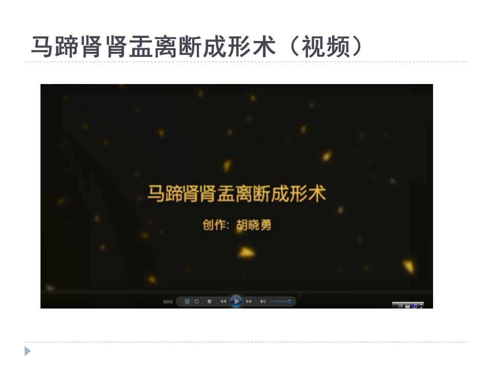 腹腔镜马蹄肾肾盂离断成形术