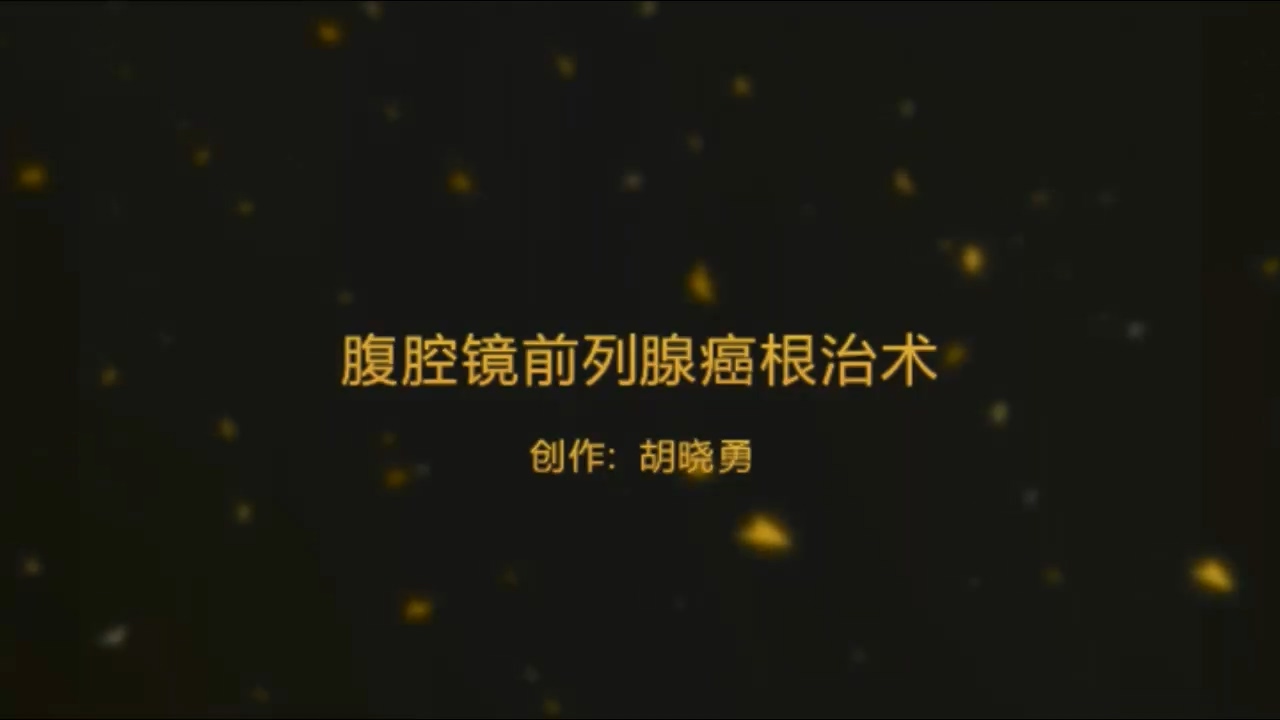 腹腔镜前列腺癌根治术