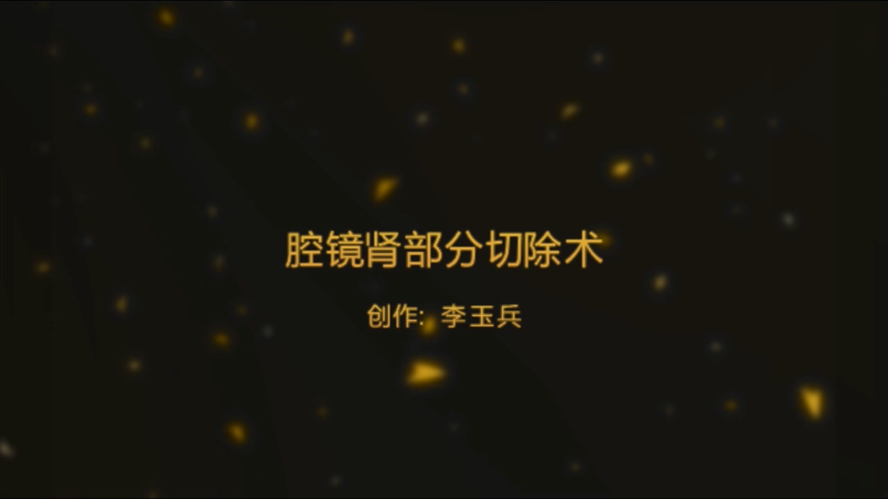 腔镜肾部分切除术