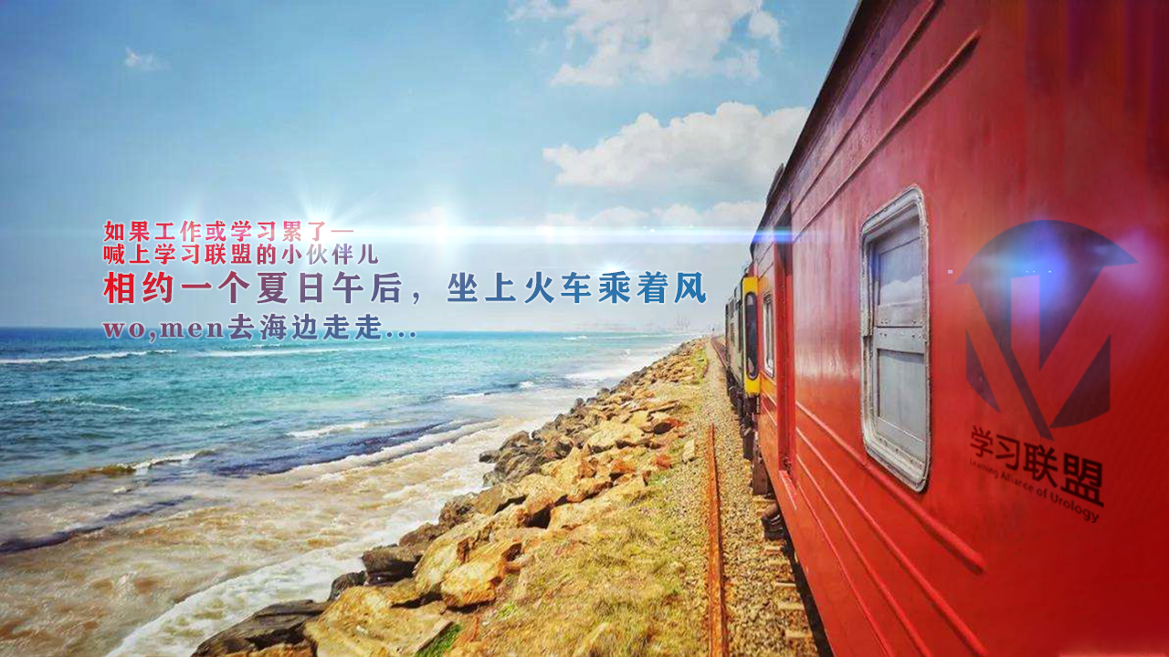 第234期 孟小鑫|HoLEP手术技巧及学习曲线探讨