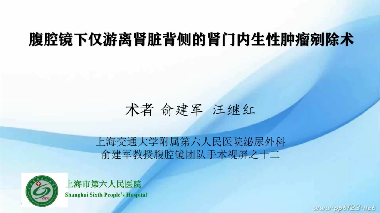 腹腔镜下仅游离肾脏背侧的肾门内生性肿瘤剜除术
