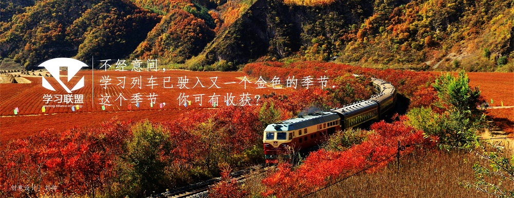 第266期 胡卫国|多通道PCNL治疗肾结石策略与思考