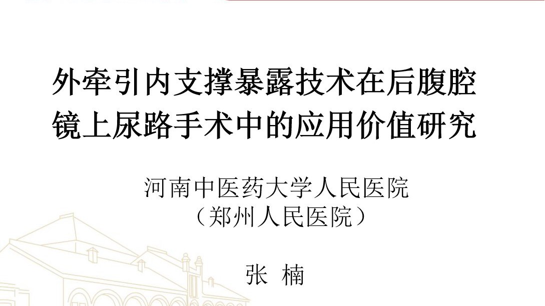 外牵引内支撑暴露技术在后腹腔镜上尿路手术中的应用研究