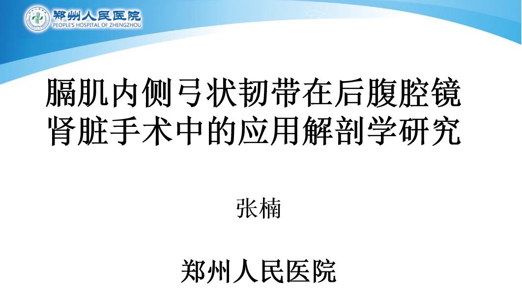 膈肌内侧弓状韧带在后腹腔镜手术中的应用解剖学研究