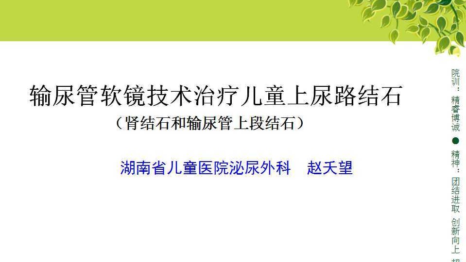 第46期 赵夭望 | 小儿上尿路结石的软镜治疗