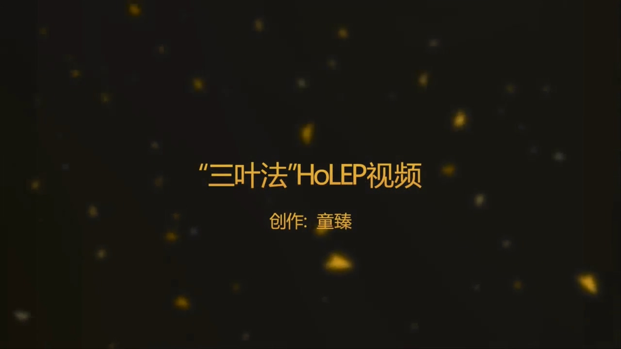 “三叶法”HoLEP视频