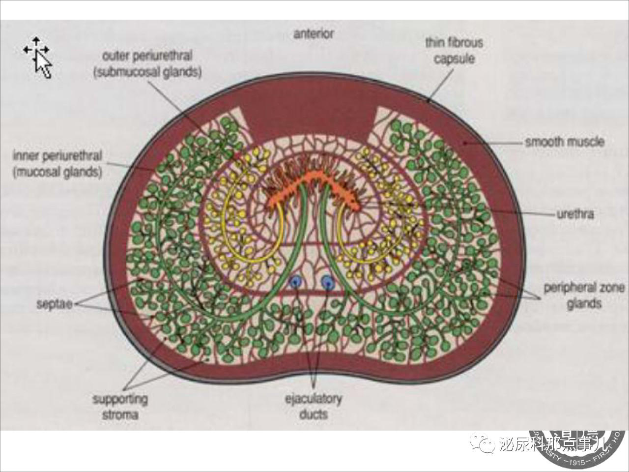 1557109679810062.png image.png