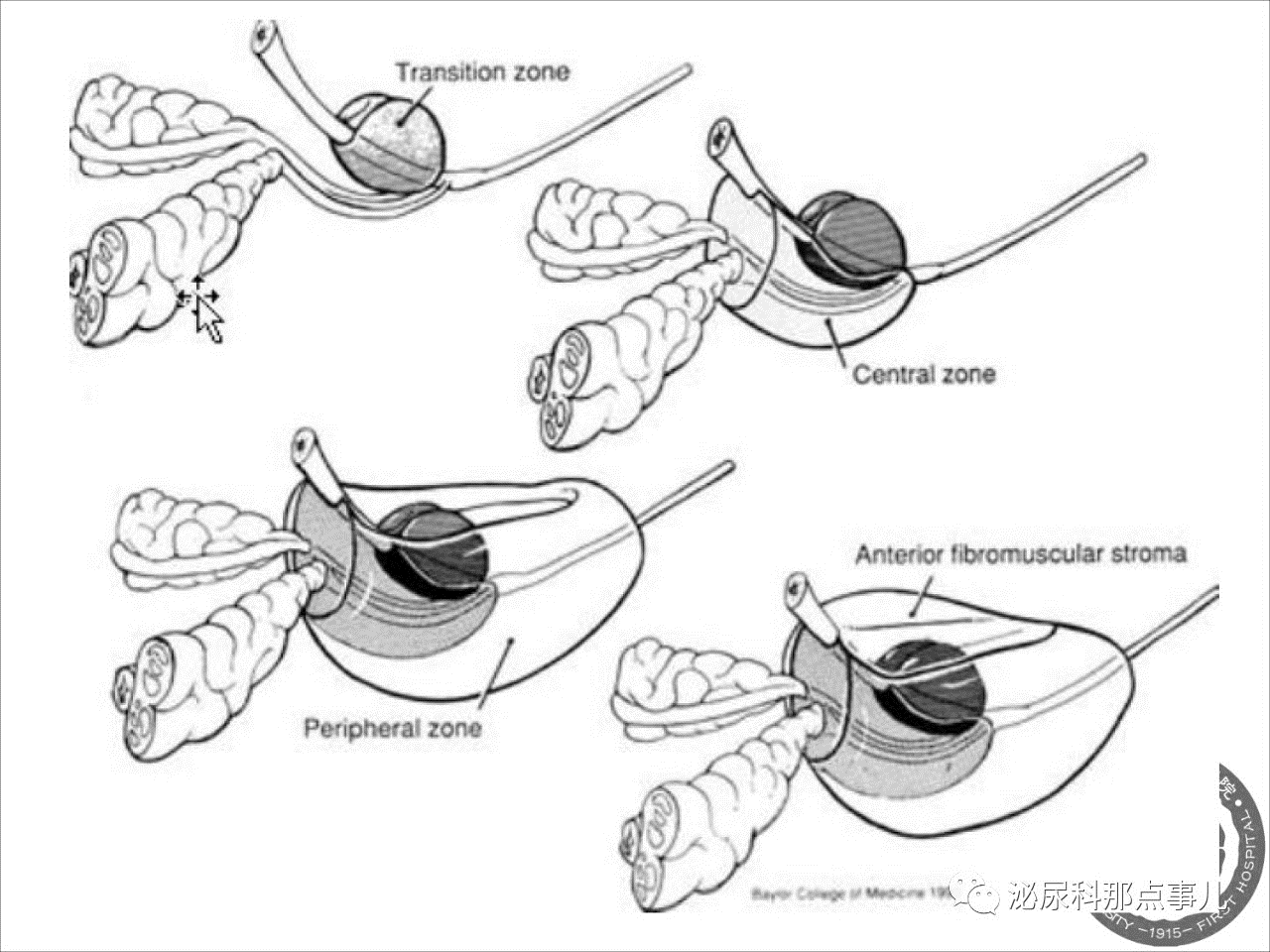 1557109688435938.png image.png