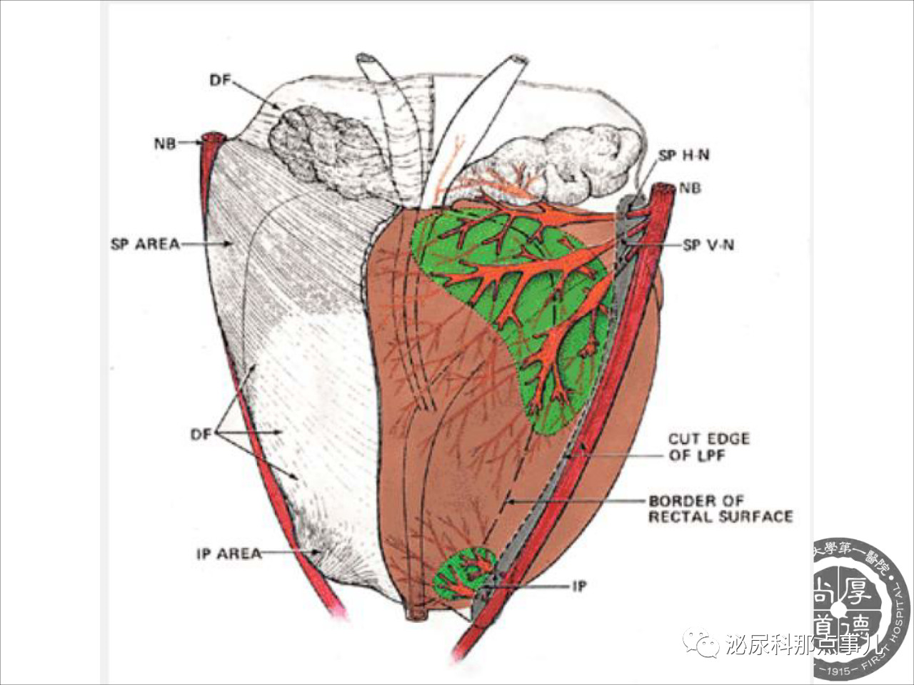 1557109760917216.png image.png