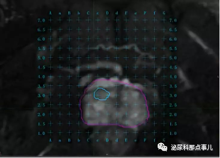 1557192898290009.jpg