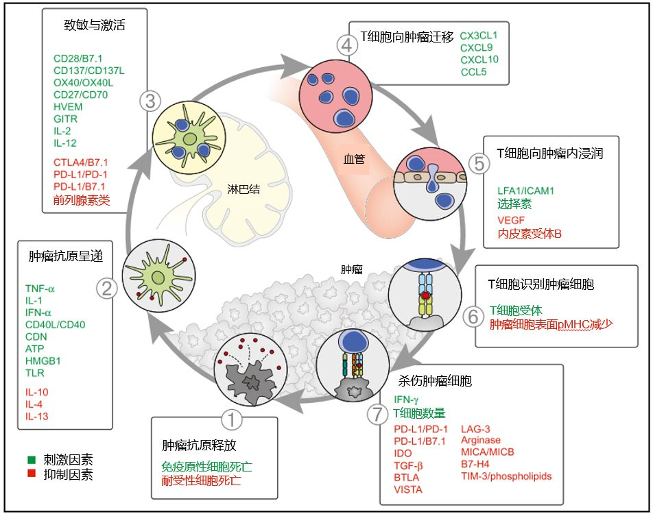 1557198125115113.png image.png