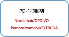 1557198166975660.png image.png