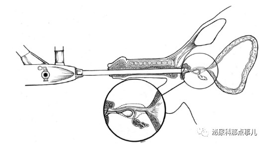 1557281631677480.png image.png