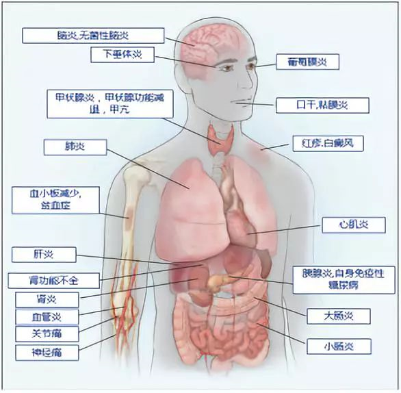 1557296524578129.png image.png