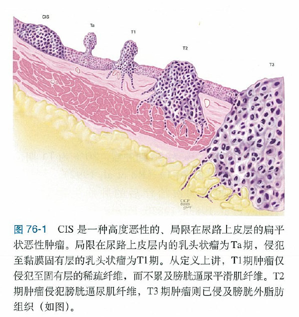 1557304391366482.png image.png