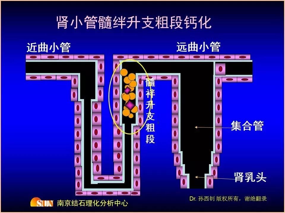 1557365699179466.jpg