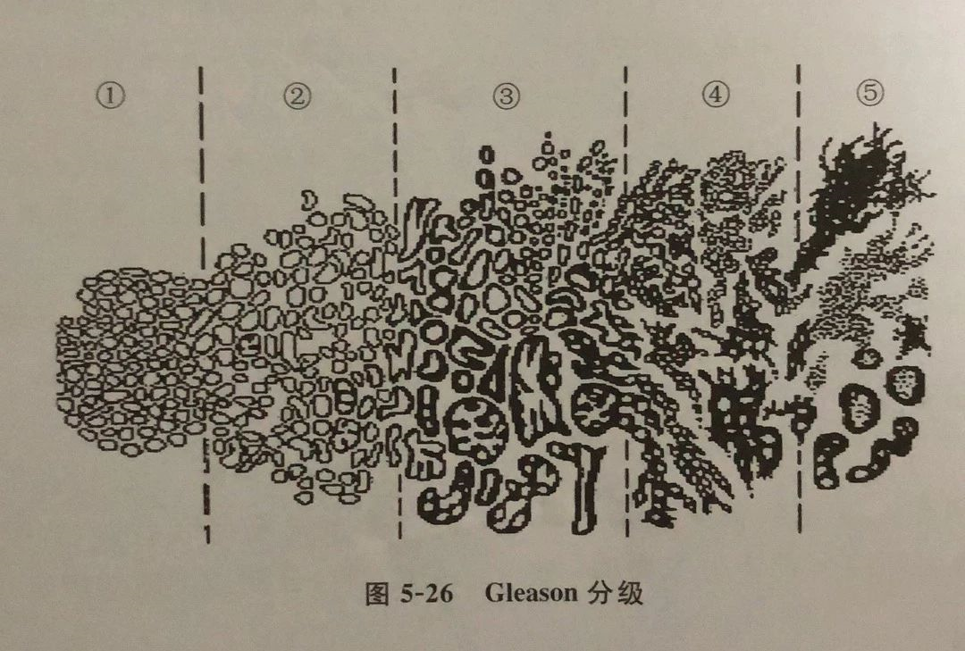 1557367019239263.png image.png