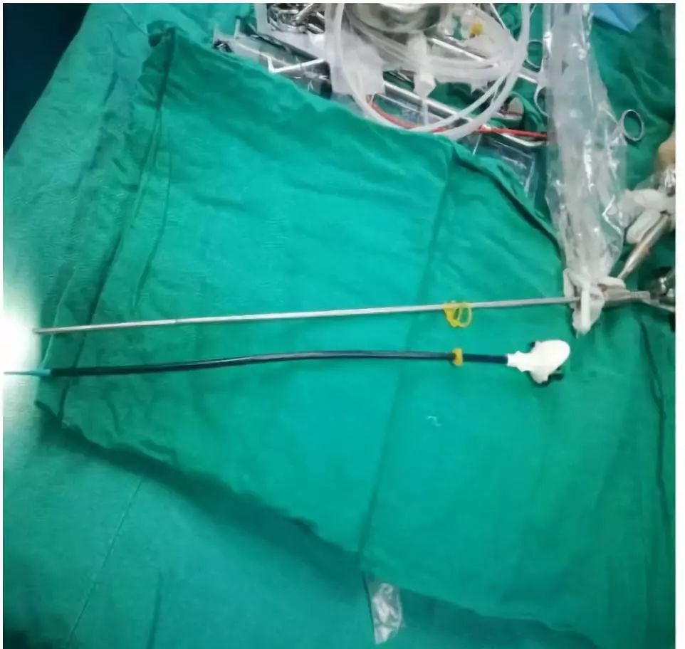 1557385468448024.jpg