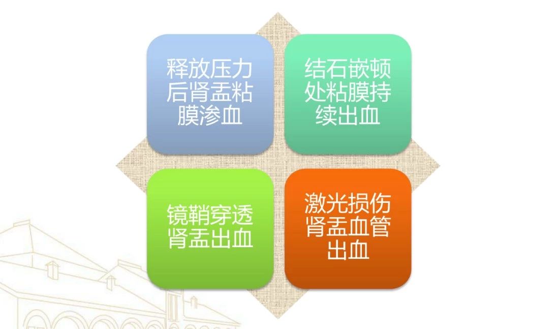 1557385469531253.jpg