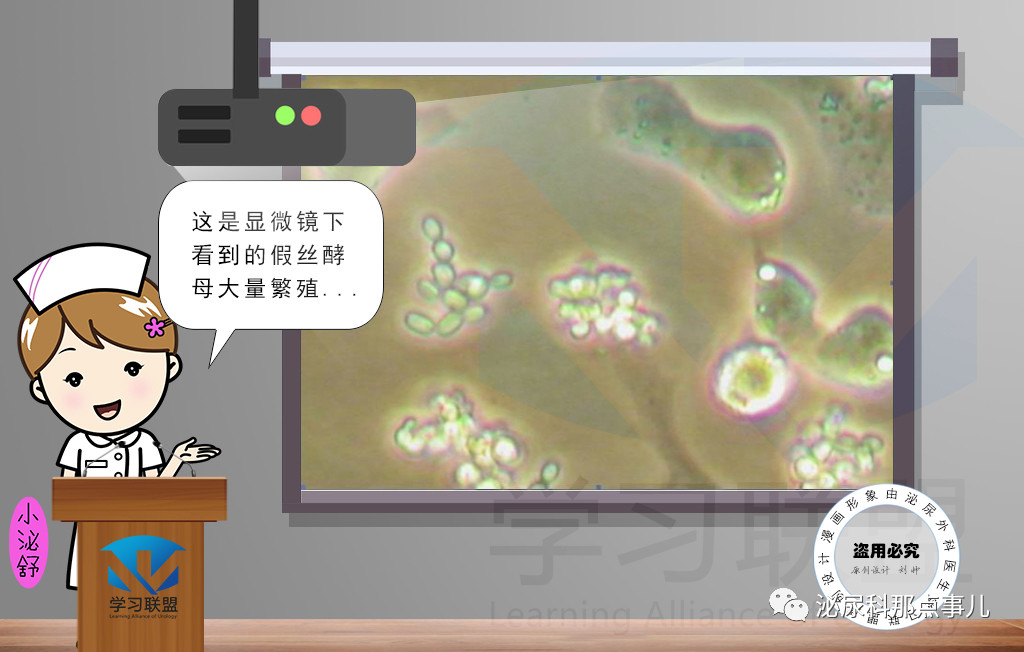 1562808743890523.png image.png