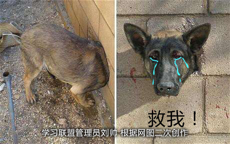 1563931236874107.png image.png