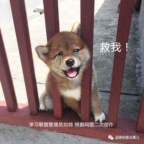 1563931243132515.png image.png