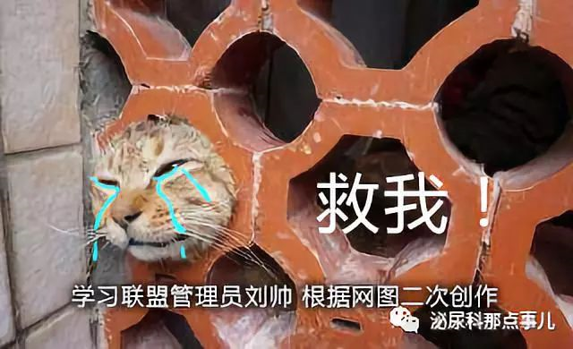 1563931249193890.png image.png