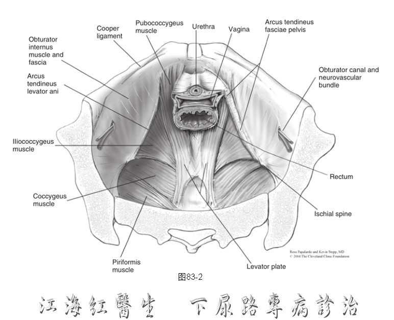 1565574294440148.png image.png