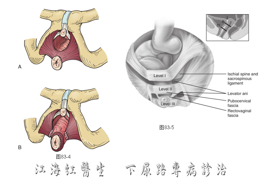 1565574301808886.png image.png