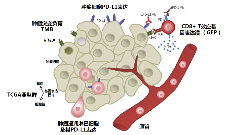 1565575051806884.png image.png
