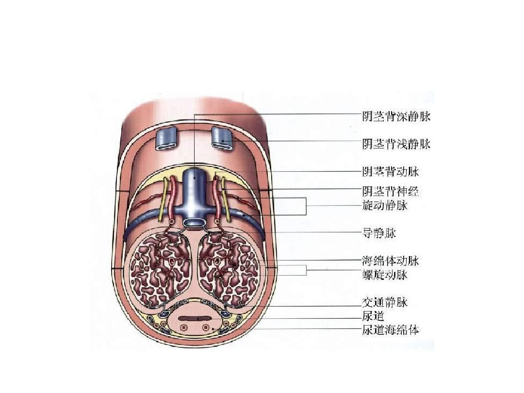1568770978583290.png image.png