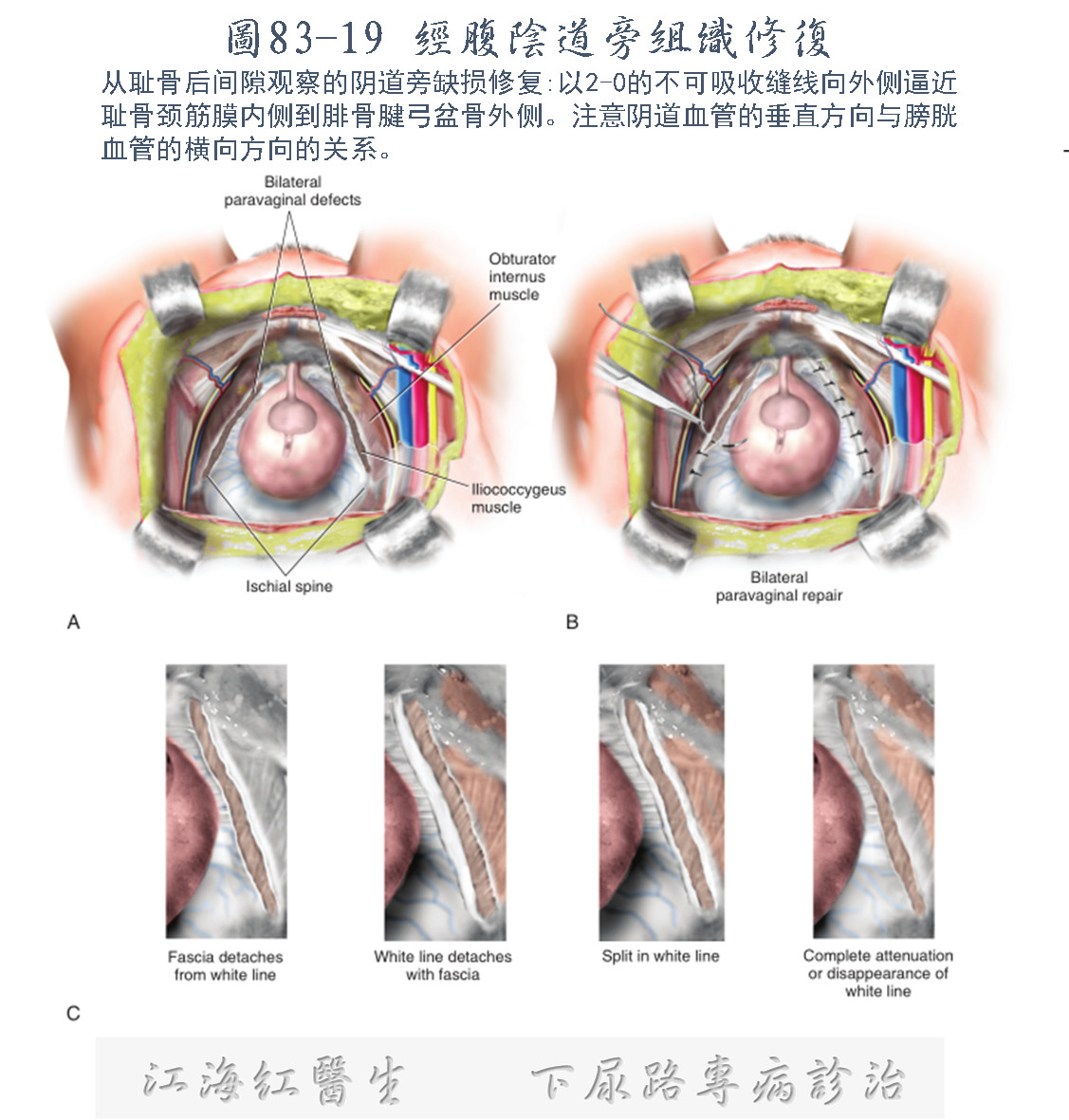 1573440110924112.png image.png