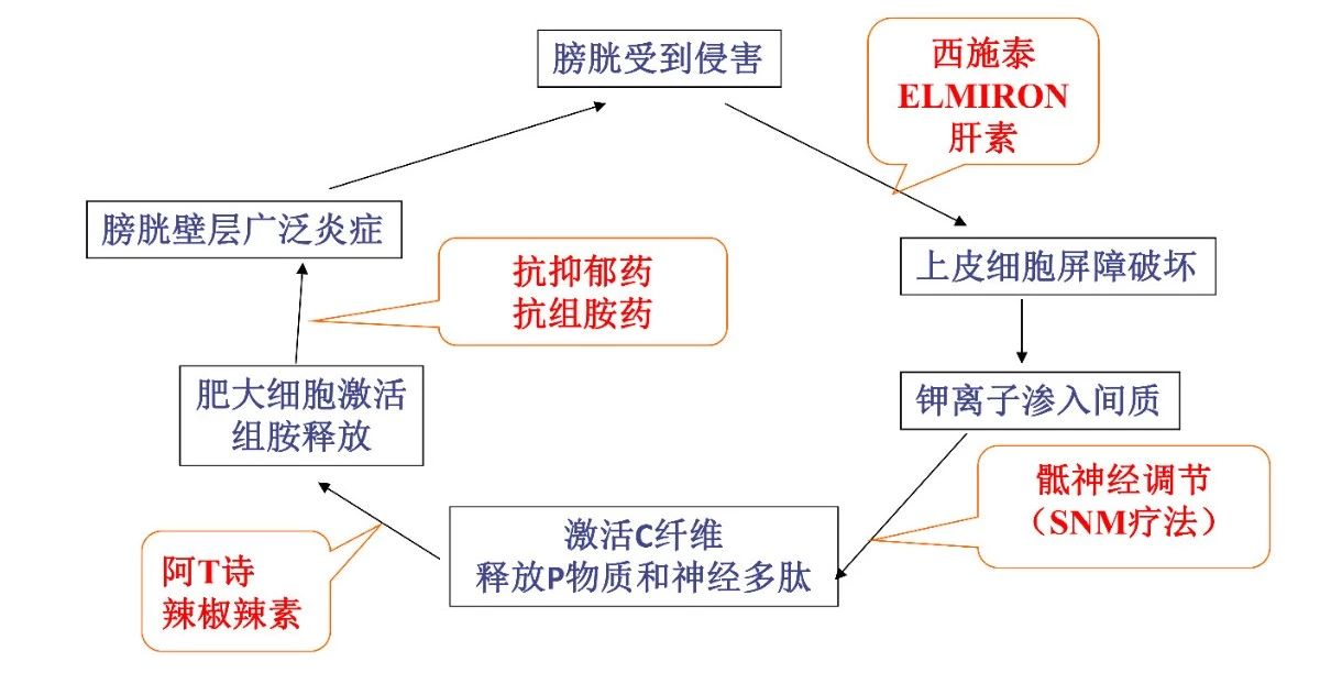 1574043117483464.png image.png