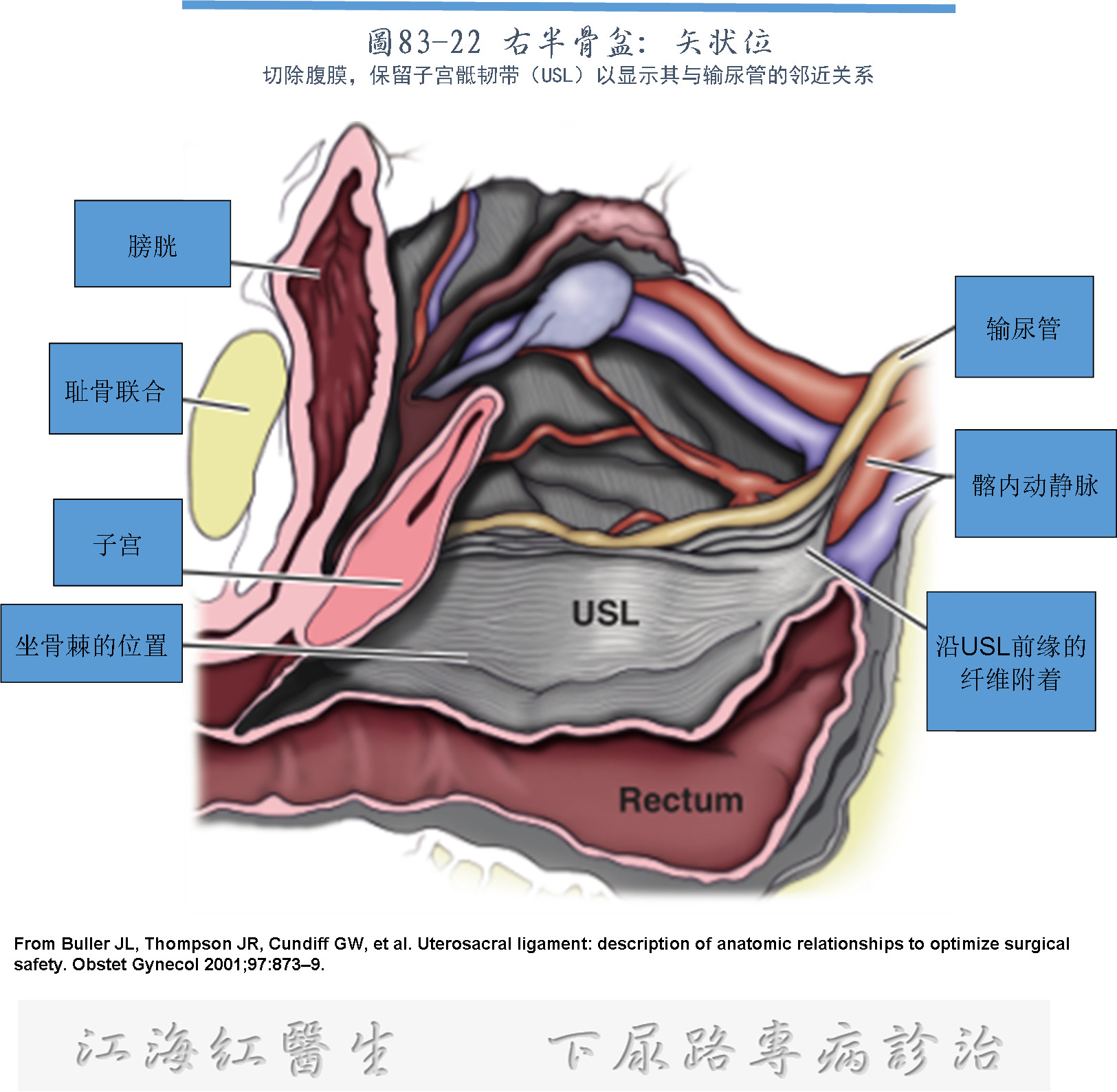 1574652812263729.png image.png
