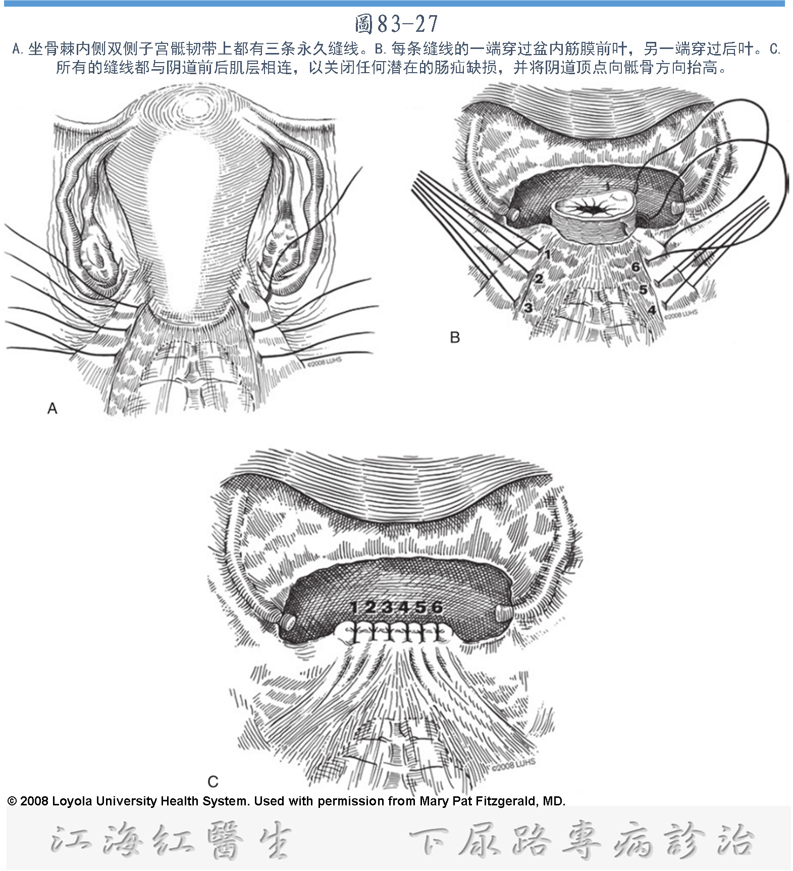 1575254826205344.png image.png