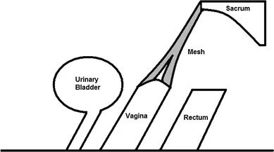 1578880234734504.png image.png