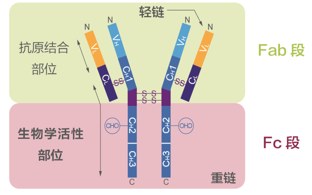 1579487067357268.png image.png
