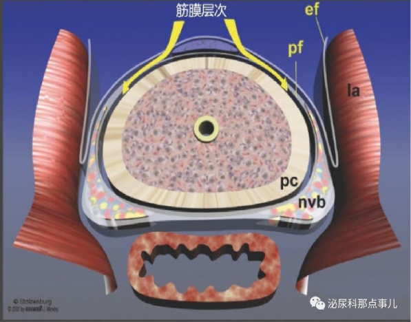 1581496351394366.png image.png