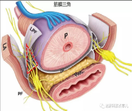 1581496375148451.png image.png