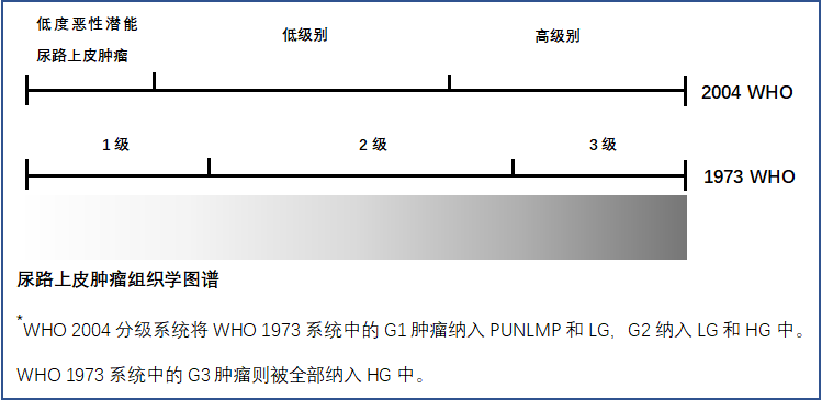 1585210946835217.png image.png