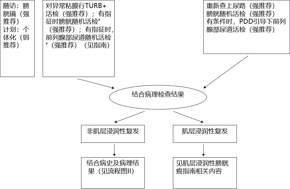 1585704925755625.png image.png