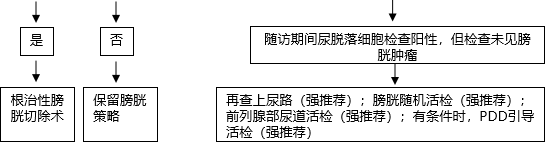 1585706018347423.png image.png