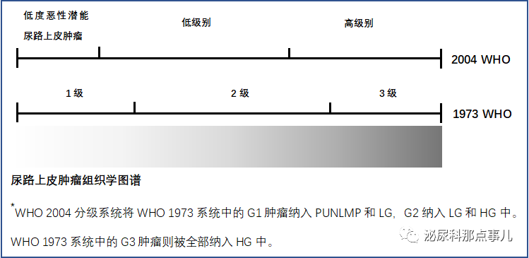 1586227043211482.png image.png
