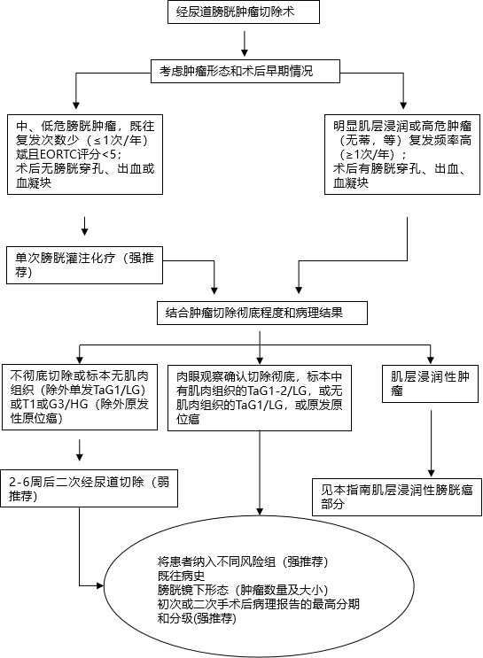 1586227066711947.png image.png