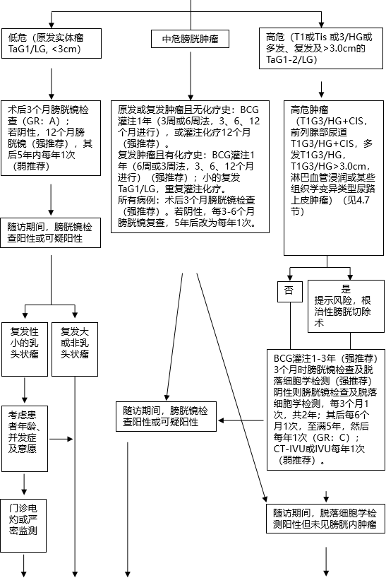 1586227076473321.png image.png