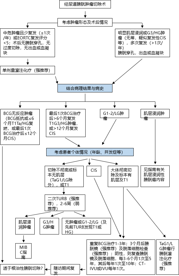 1586227097212733.png image.png