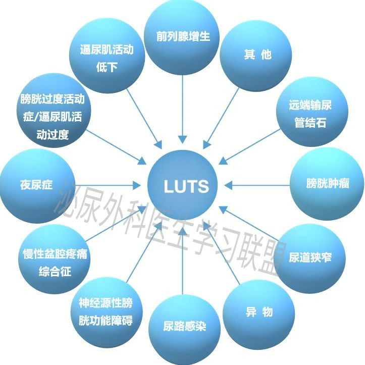 1587001049596495.png image.png